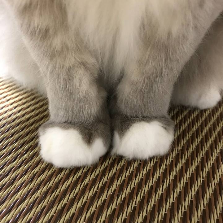 96693588 4e30 4b58 a61e 1c500543880d 1519820573689