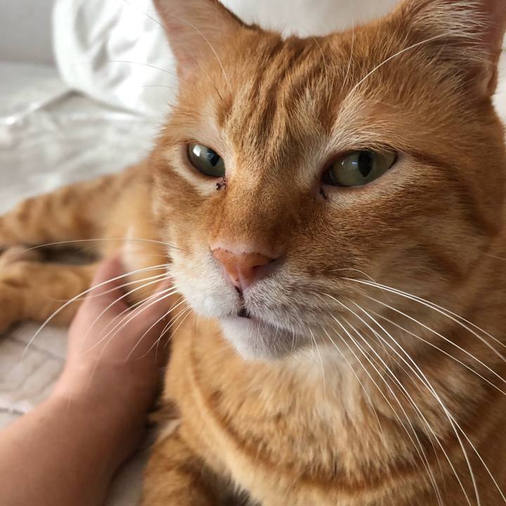 966967ff 9b62 466e b730 089ac14ce33f 1594329778755