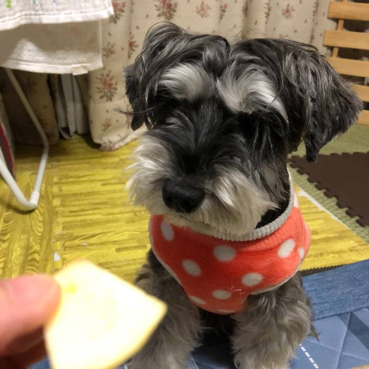 9669824e 89db 45bd b37d 604ac0dd8652 1671625447899