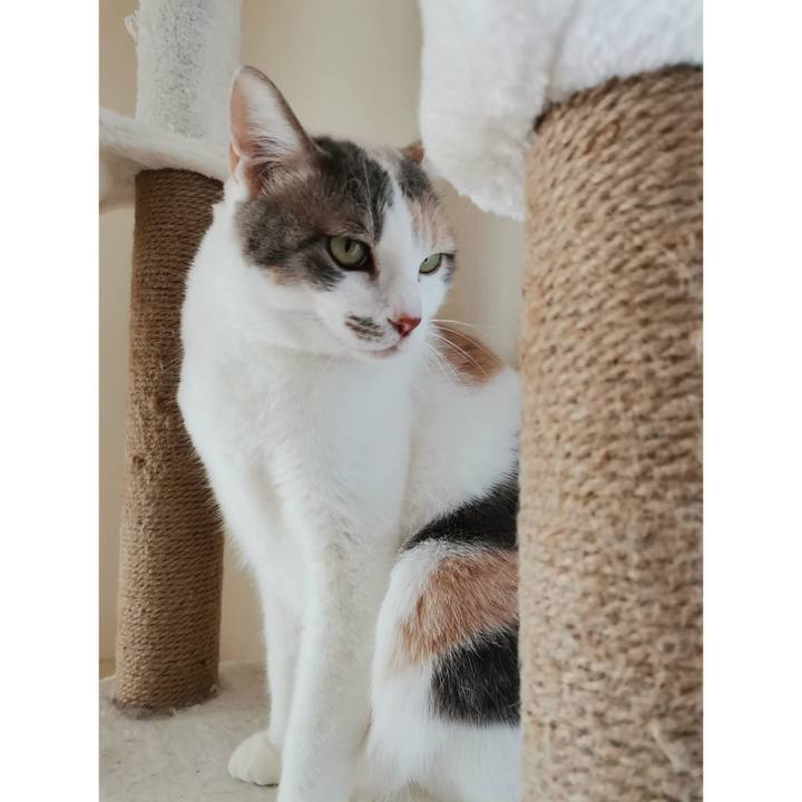 96699e08 a53f 4a99 9c2b eb0f32ca445e 1674189726813