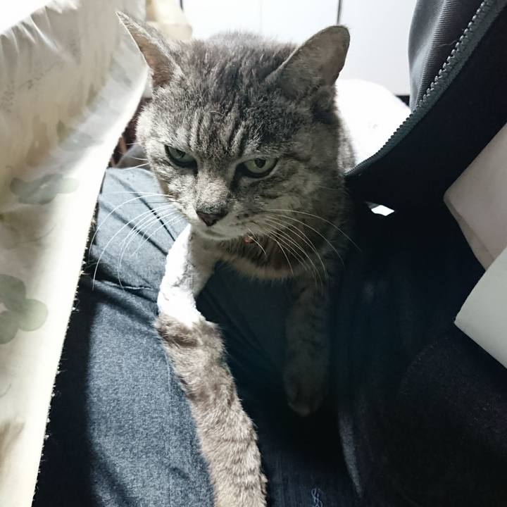 9669e653 d0b7 46b3 b7df cb601bd22fcd 1588801848905