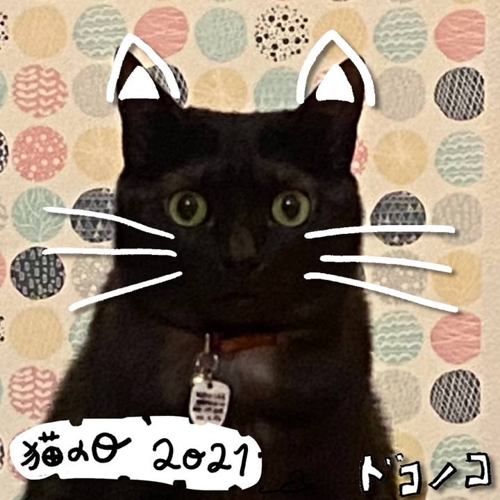 9669e8f5 ebce 4c55 b398 9577e7a85c33 1613962338441