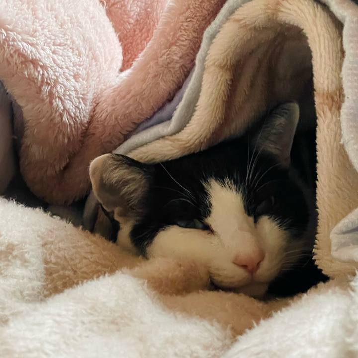 9669ed8e 2a74 4dc4 bc16 d0d28bfd03db 1646272782306