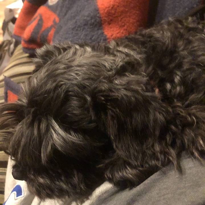 966a3489 800a 4d22 9549 50f3d865ca5a 1556282516678