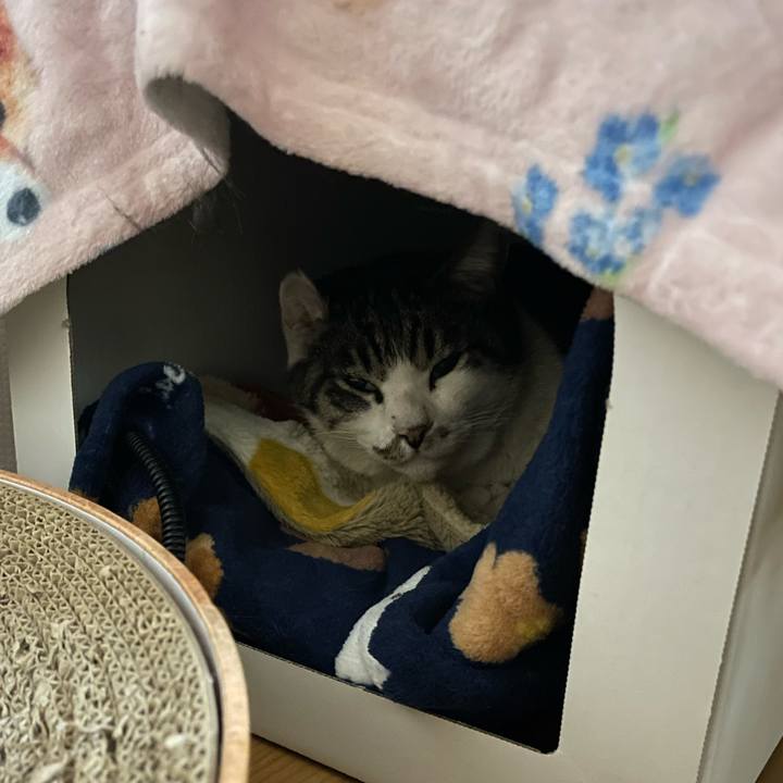 966a4a11 1226 4cbf b9ee 4986fb196d7f 1705402456205