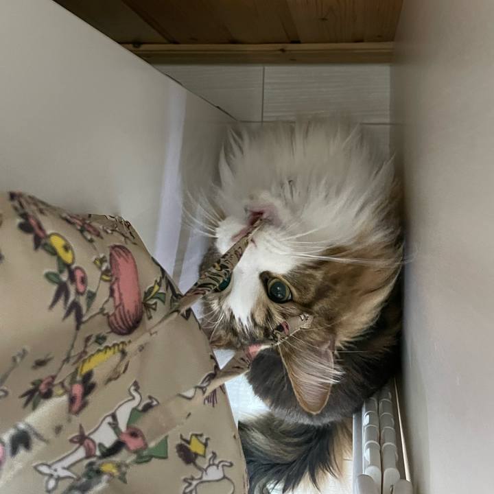 966a4a5a 76c3 43c1 ae13 43cdde280c3e 1673989890026