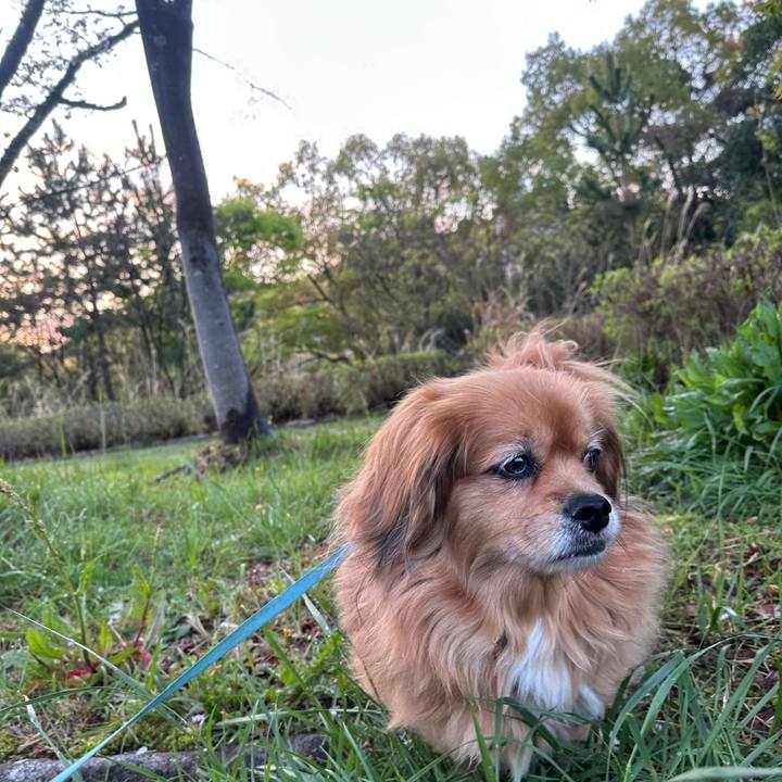 966a5f0a a160 40a9 afac 5501a780dc61 1744579914504