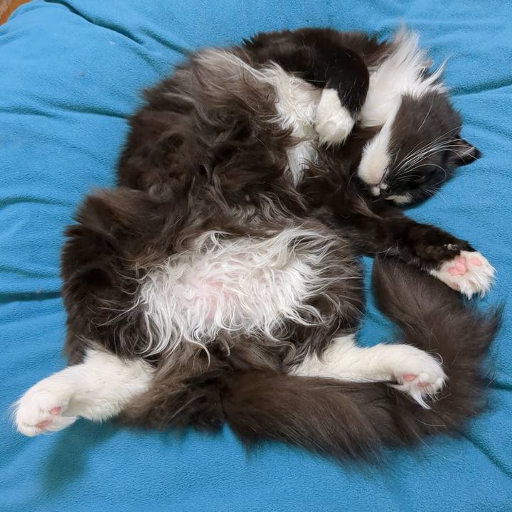 966a8a1d b8cd 4b97 9039 b6dd03b21ba4 1678072279016