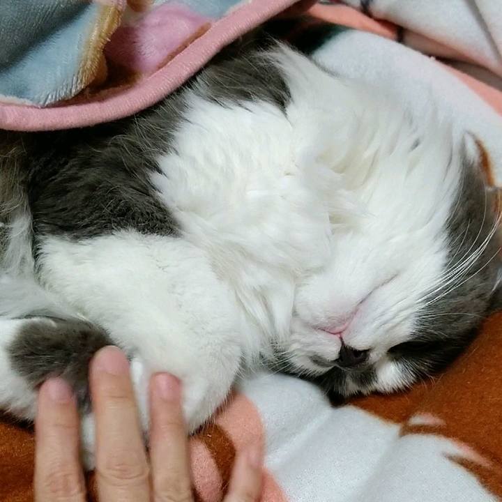 966a93a2 ef78 441d 820f 40cf4616d603 1583796037362