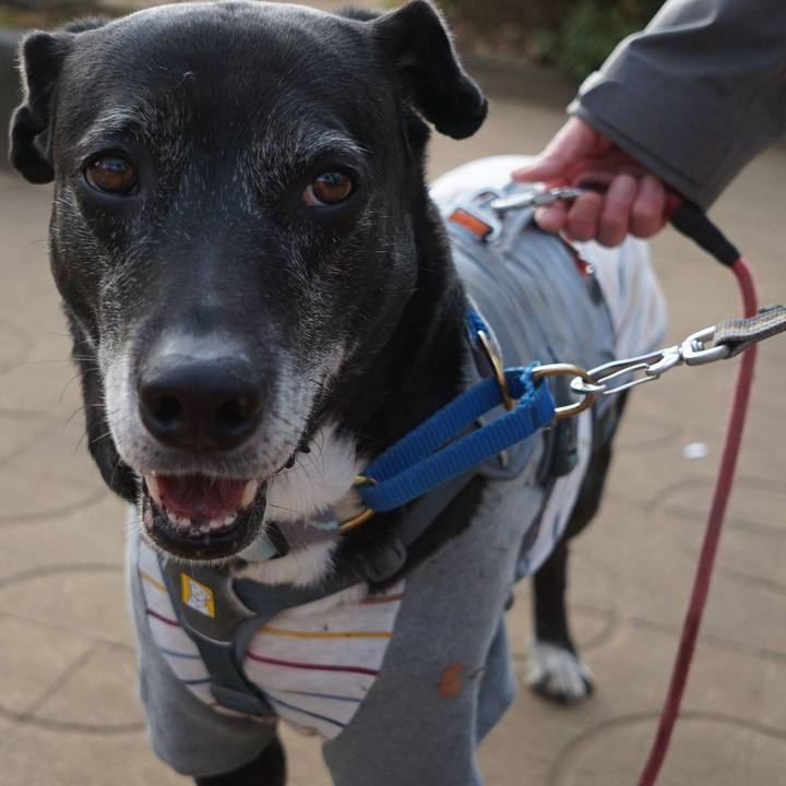 966a99dd 4cd9 4beb a4cb 33f7c99b49a9 1768784196299