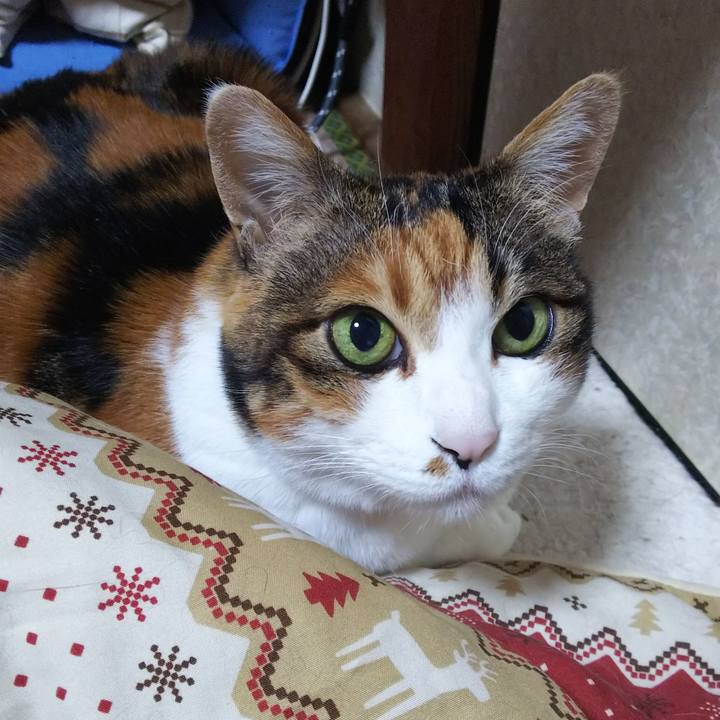 966aa7cf 0eac 48f0 bd44 56a7ccb1cf4d 1548276404462