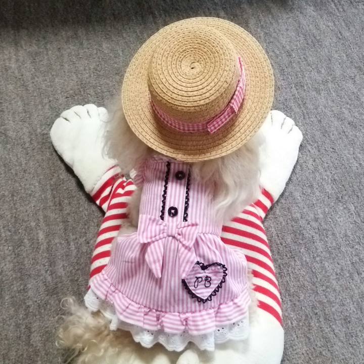 966aae83 a5a3 48f0 a75a 5ca2ca3c783b 1528693159838