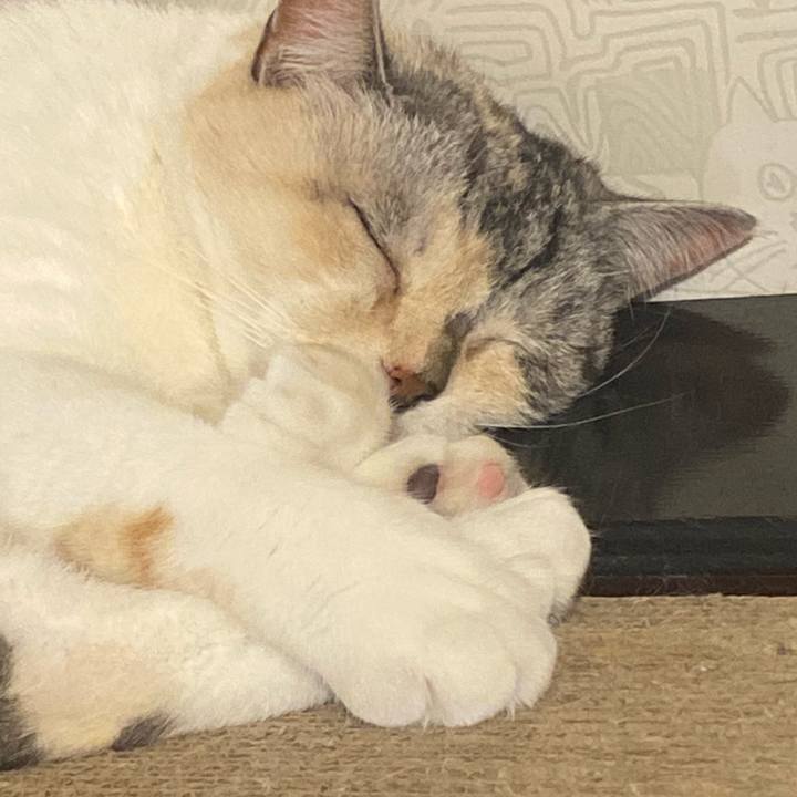 966ac511 bfd0 41cc 9f2b c998f2f6174c 1623413740779