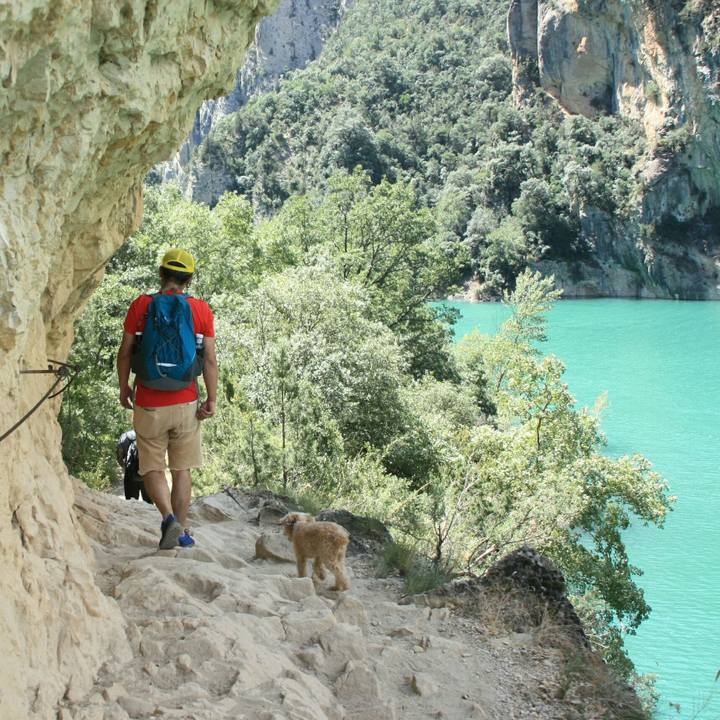 966ae782 1333 4208 b927 3d6c04879629 1535324177949