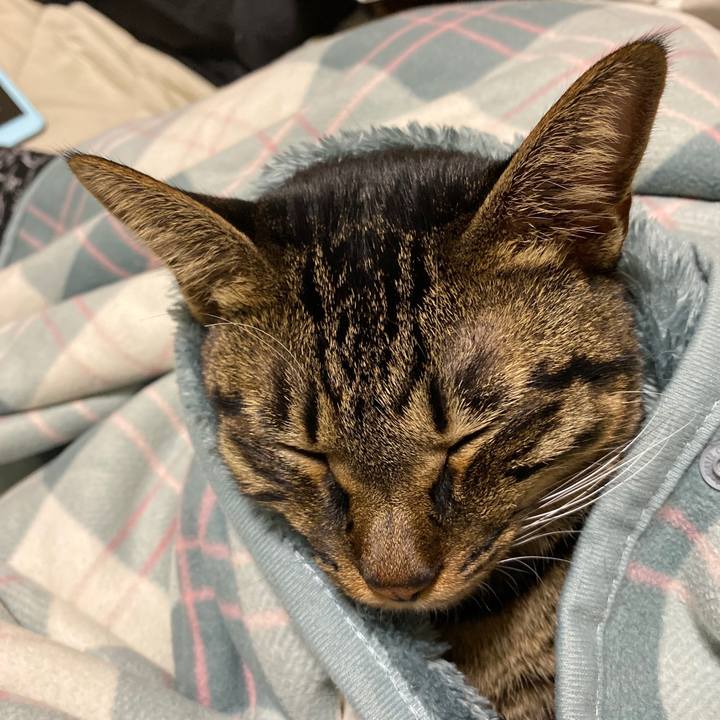 966b0449 c11a 47ee 90e0 1946f52bffa8 1573305942926