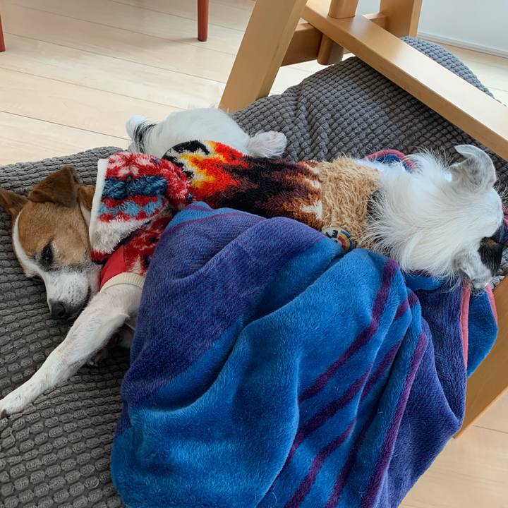 966b7012 3a07 419b a397 9a75006a6579 1576206112180