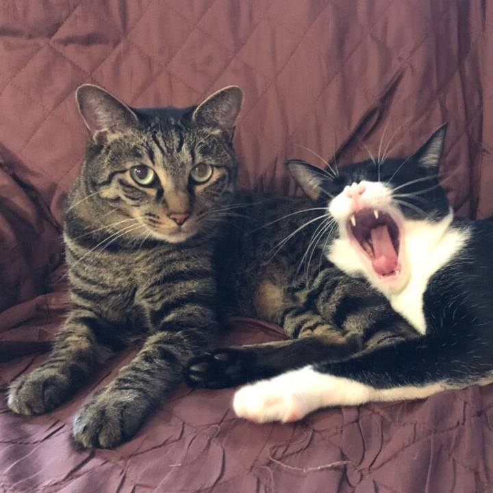 966b70dd fb07 4461 b983 c24a2a7eec05 1545549224958