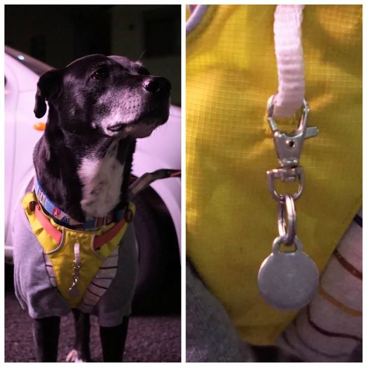 966b8318 760c 4ae0 afeb 2fb64dad34c0 1769512484357