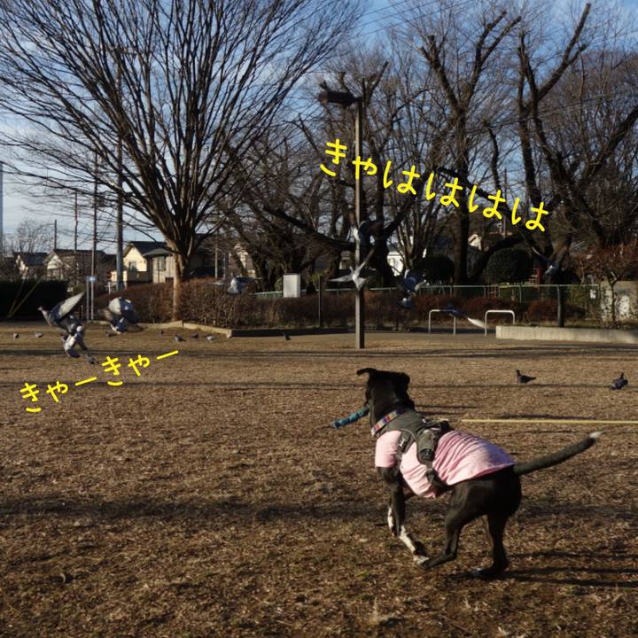 966bdf31 2fd1 44e2 955b b19af1da3ce3 1644368310872