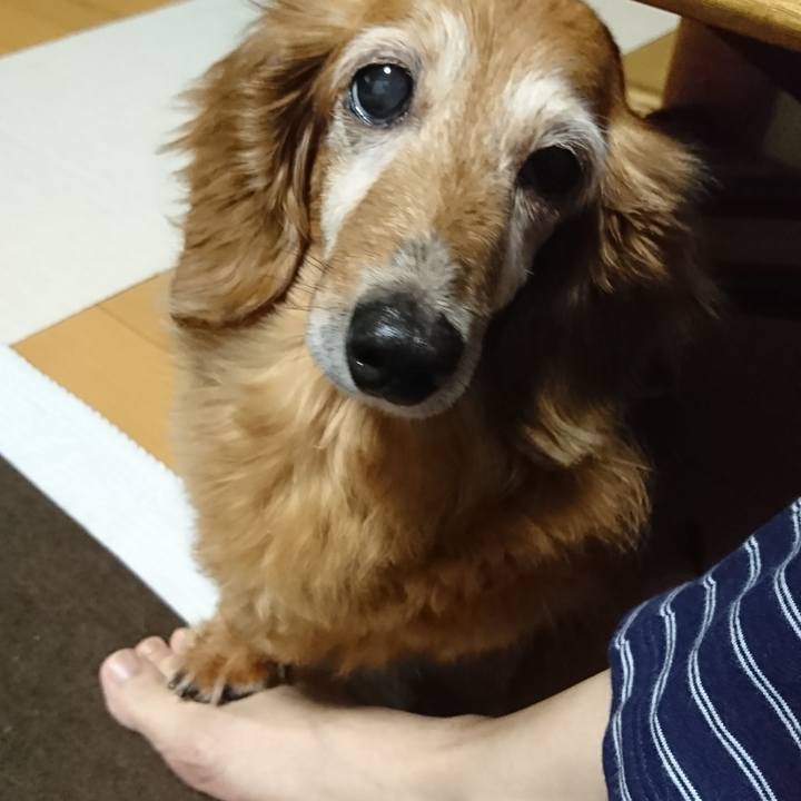 966bec34 9269 4b54 bb8b f05203fec59c 1567619927571