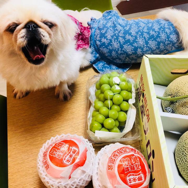 966bfe93 7197 4154 8071 fbe5d5f23117 1570444775460