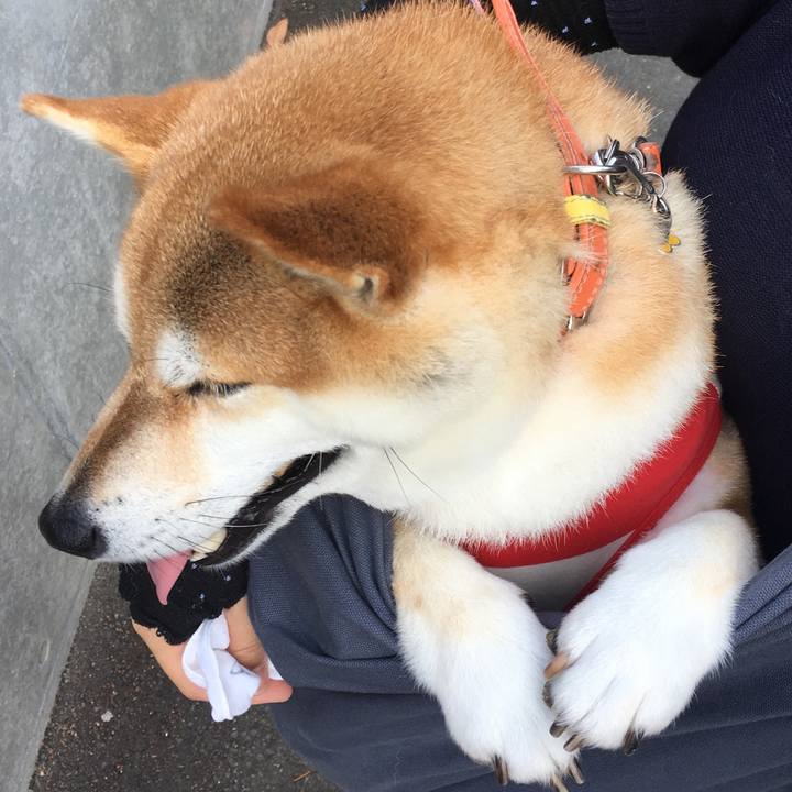 966c2380 ea30 4637 ba28 88572a2f0b1e 1564702449910