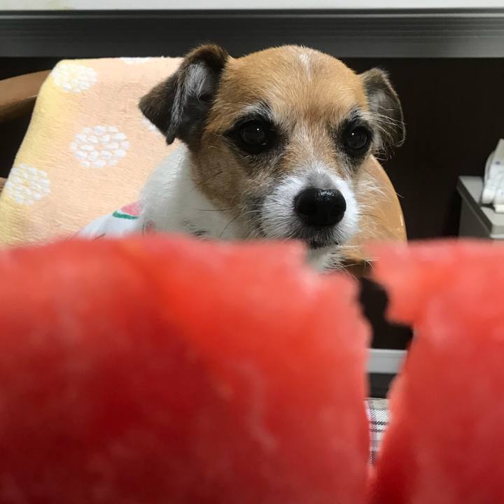 966c7604 9721 4660 aace 402c3f0085b0 1532056814526