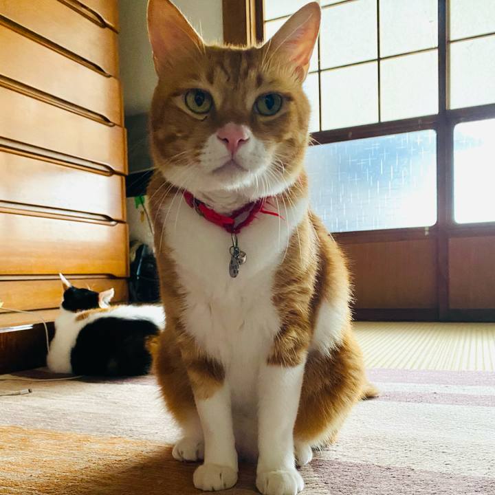 966c9b32 5f23 48a4 8ca2 310ae35de31e 1755002603358