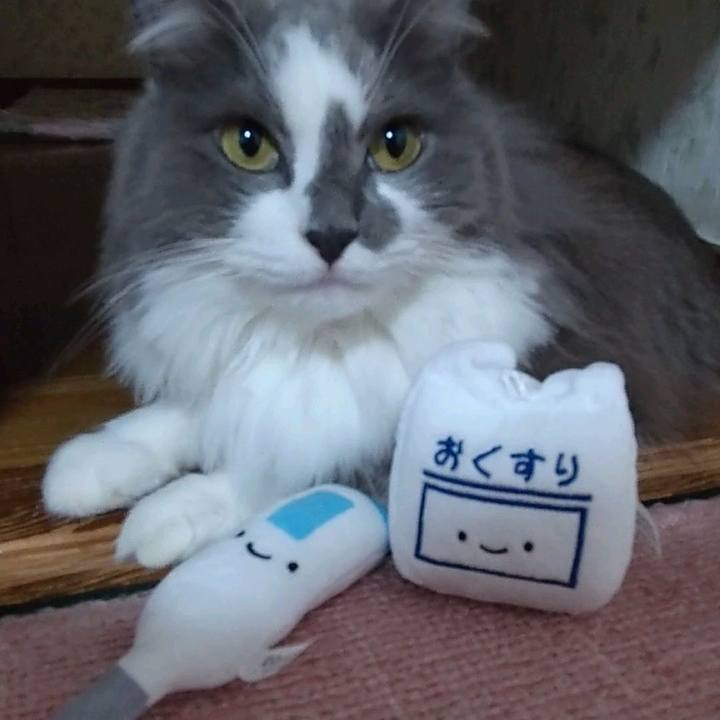 966c9c33 b6c6 4f59 8089 e61a6c9c9e70 1654860844738