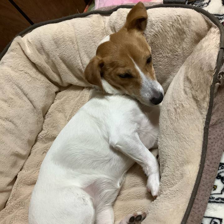 966ca913 5463 4f4a aa3f 35a538f7e37f 1574514061496