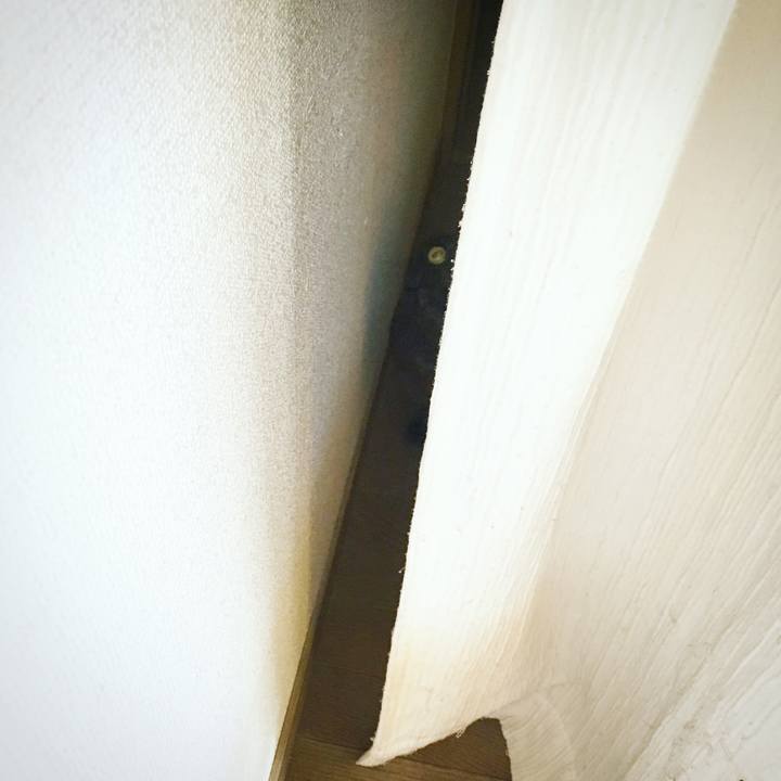 966ca94b a340 4e9f b332 06d05484e906 1546052736991