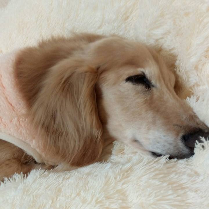 966cb59b 9b08 4f17 8fdc c18dcf497762 1550933966114