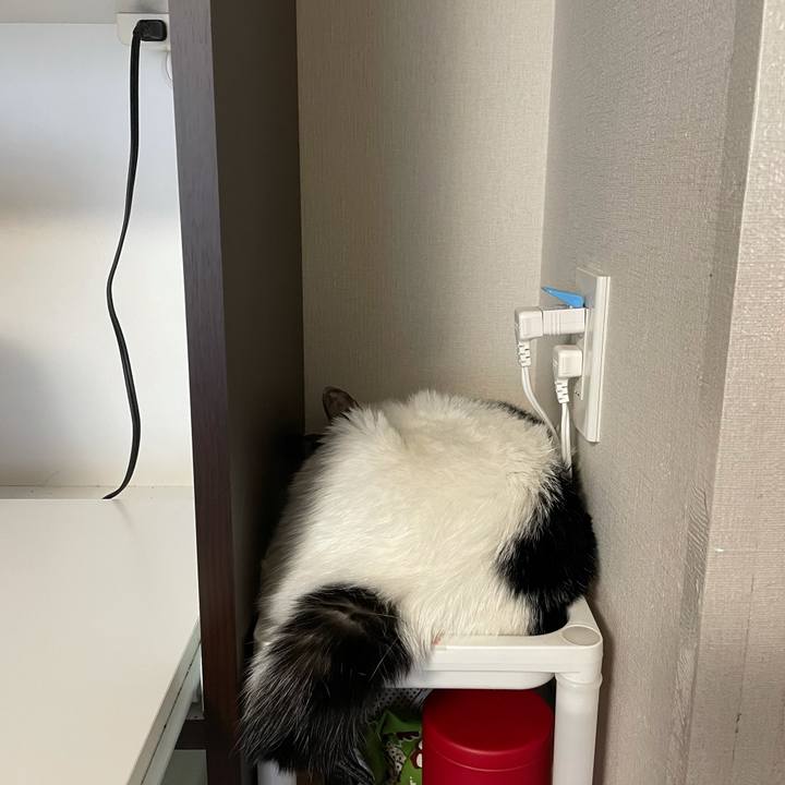 966cf696 6ebe 4218 bcdc 2d04e0fcd0ce 1625012377565