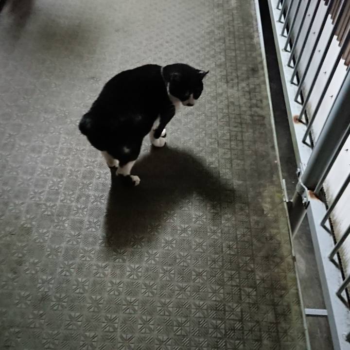 966cfe32 9c32 41d7 ac2d 8717bf7558c2 1576160593997