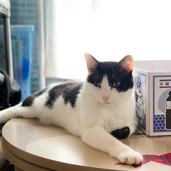 966d0d64 7680 4041 a5c7 1fbf0b72eca8 1572142698835