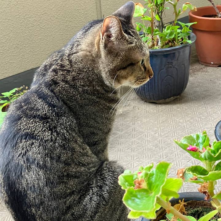 966d559b 4f12 4484 8262 8bd28f74fb1f 1758145775075