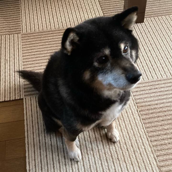 966d65af a687 4904 b58e e086df7ae71e 1674872520226