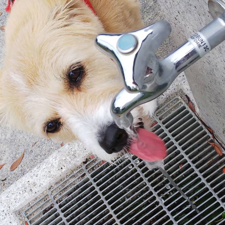 966d8131 b438 4b75 abd2 0e04cfb35385 1561549827420