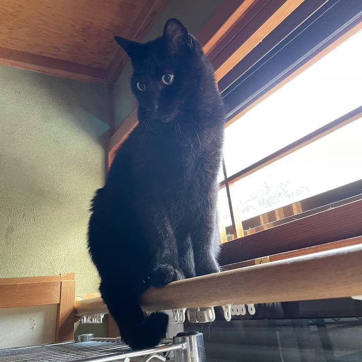 966db1b3 ddd3 44bd ba0e a2324b35d53b 1608944000166