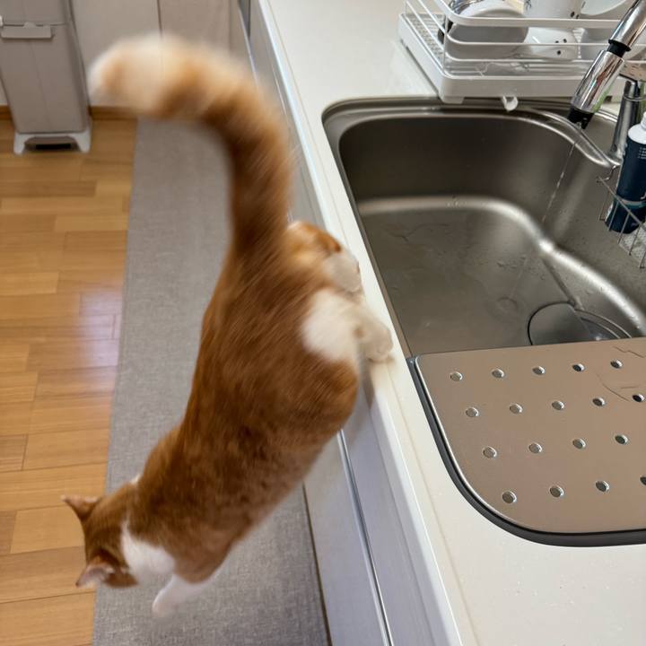 966db2fe 51b3 4cd6 9390 bc321b7b306c 1769655028351