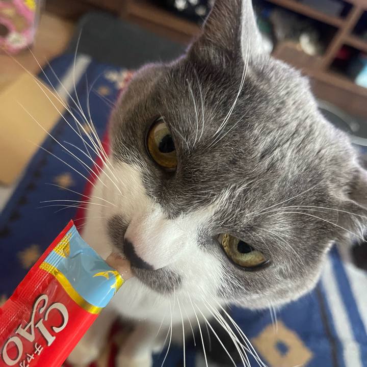 966db7ec 9eb0 4790 85e0 6c45aed2a921 1649055213882