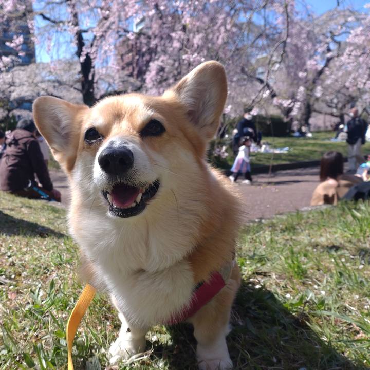 966dea03 8fb2 46ca aa91 69c69f0a22c7 1650204315047