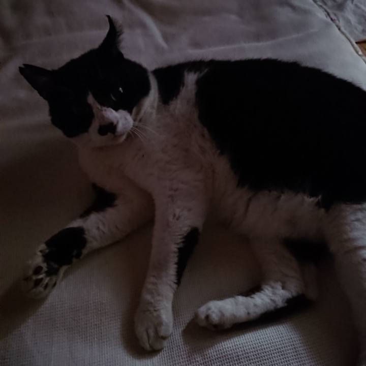 966e24c8 f9cf 4b8e 8ec5 bacee69cec79 1631317895044