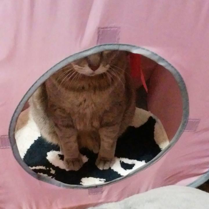 966e25d4 0ff5 4c40 9b8a 4587748875fe 1519603025656