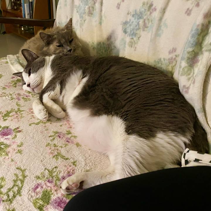 966e2a08 2f36 4a18 a263 d27962d73b02 1758547626013