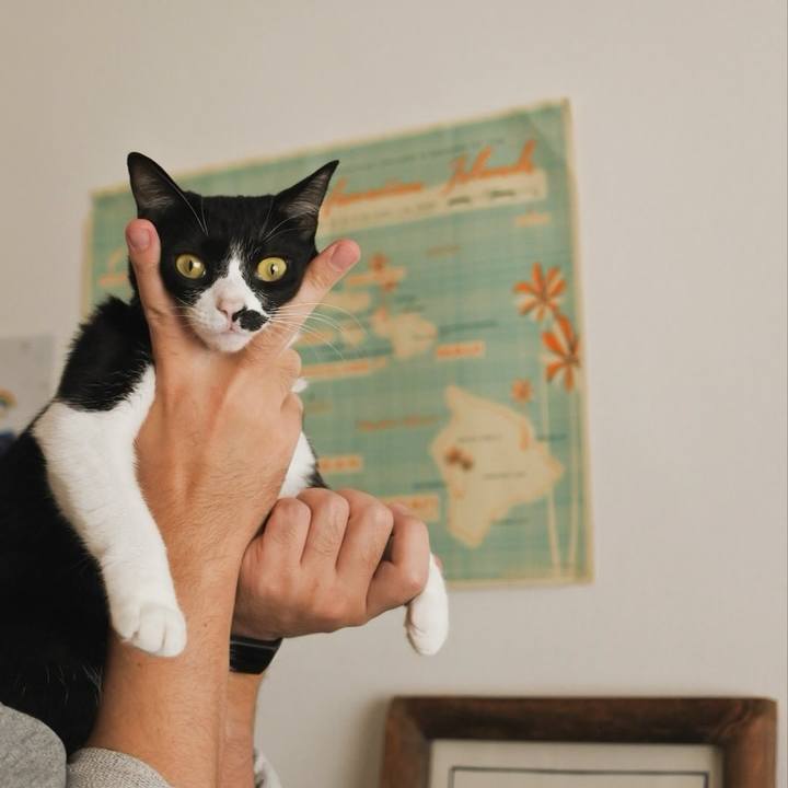 966e98b2 23cf 4c1e a425 bd70a2ef1d38 1733292377722