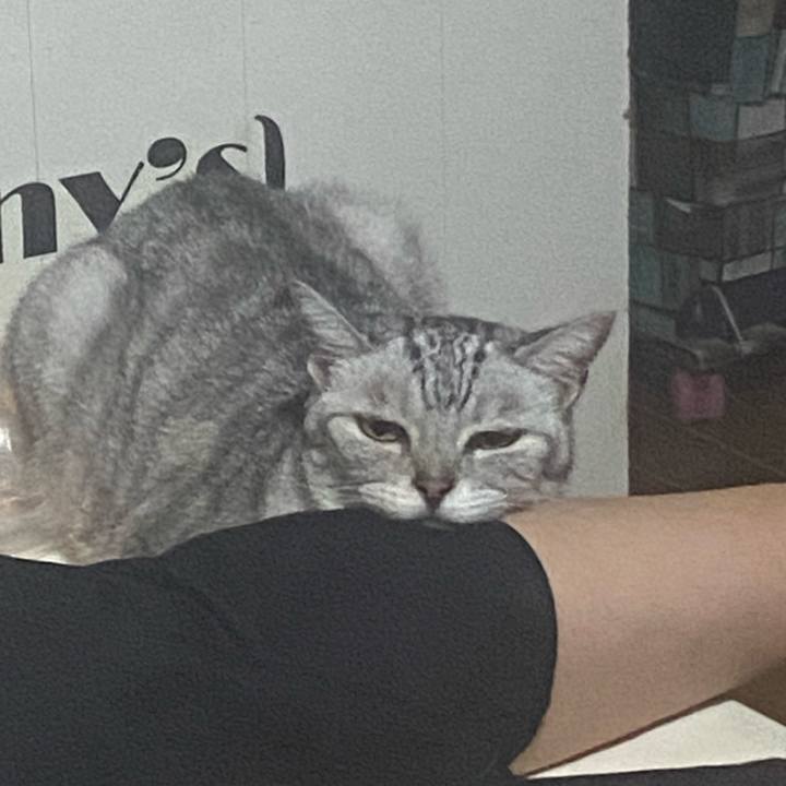 966eaf06 2d24 4a3b 839d b8d1c1946a27 1723902337086