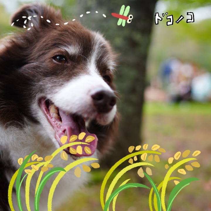 966f322c 133f 422b b74f b75700b7bfe0 1761141195481