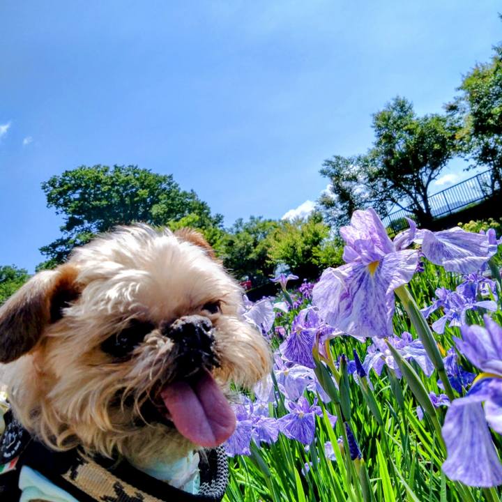 966f50a2 3aba 4dab a505 22274f52b090 1718148095381