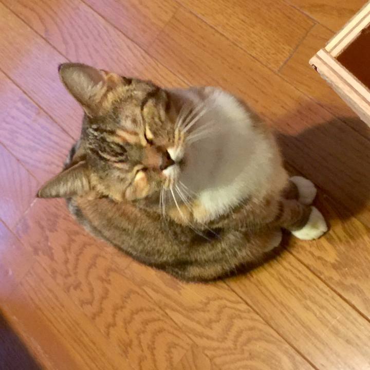 966f5bbf 632c 4b55 85c1 24c7cc56b537 1576028717983